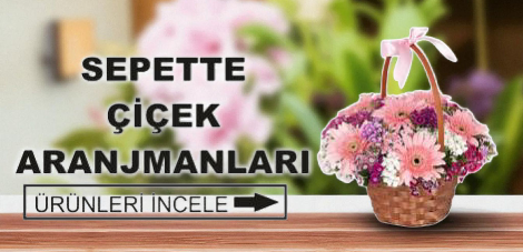 Çiçek Sepetleri