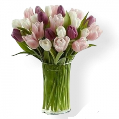 Vazoda 20 Renkli Lale