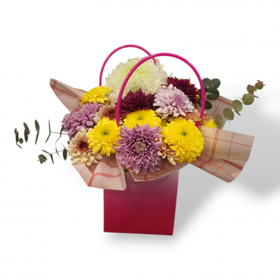 Çantada Kasımpatı