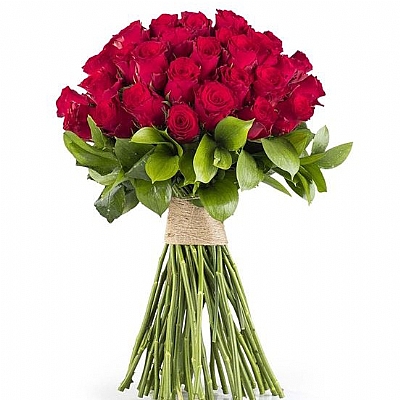 Sade 50 Kırmızı Gül