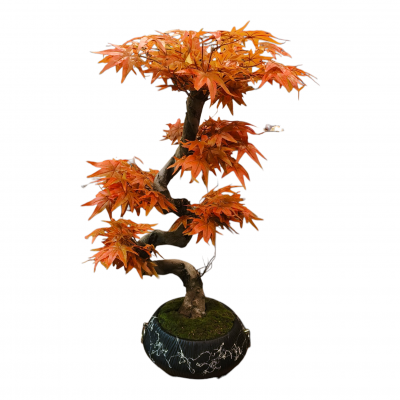 Çınar Bonzai Yapay Ağaç 