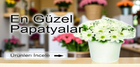 PAPATYALAR